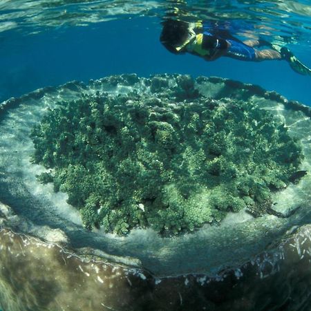Sal Salis Ningaloo Reef Ξενοδοχείο Έξμαουθ Εξωτερικό φωτογραφία