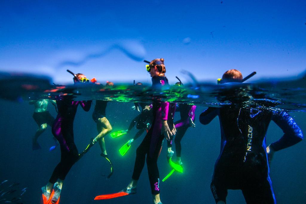 Sal Salis Ningaloo Reef Ξενοδοχείο Έξμαουθ Εξωτερικό φωτογραφία