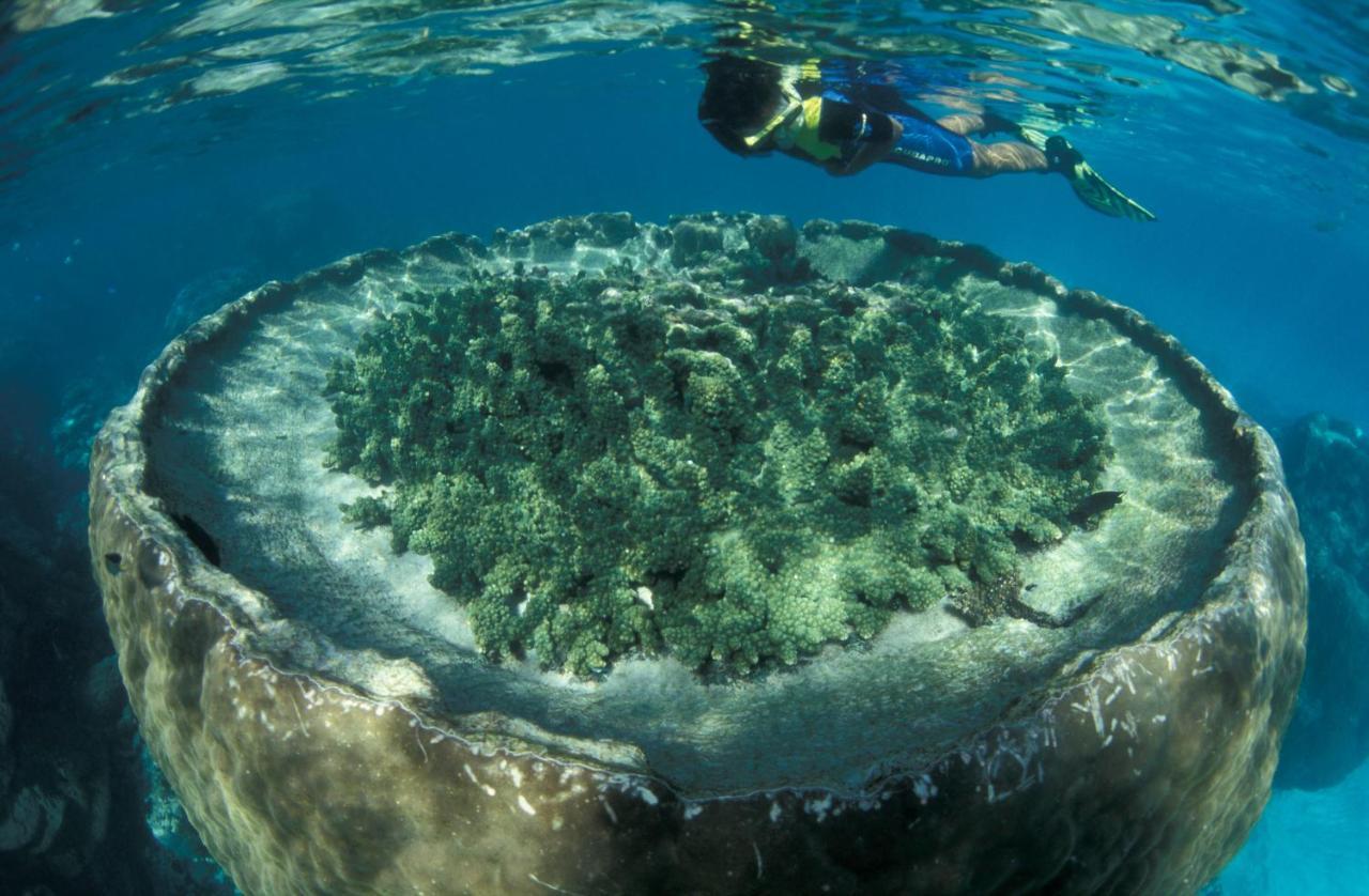 Sal Salis Ningaloo Reef Ξενοδοχείο Έξμαουθ Εξωτερικό φωτογραφία